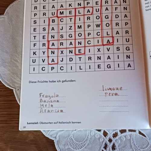 Learning Italian with Globi book used