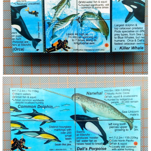 Zoobookoo Cube Book Dolphins and Whales new, educational
