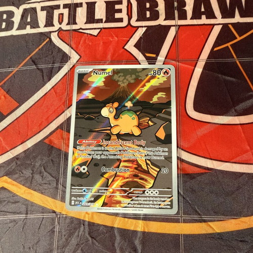 Numel Ascended Heroes Pokemon card 223/217