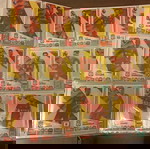  Panini Premier league 2025