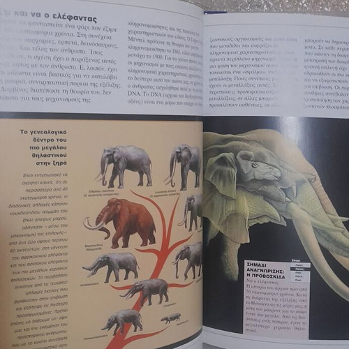 Children's Encyclopedia The World of Animals used, Greek