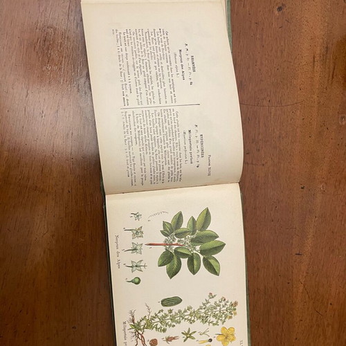 A.Masclef “Les Plantes d’Europe” βιβλίο φυτολογίας σαν καινούργιο, γαλλικά