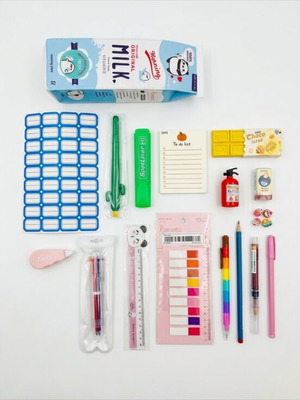 School stationery set with panda milk carton pencil case