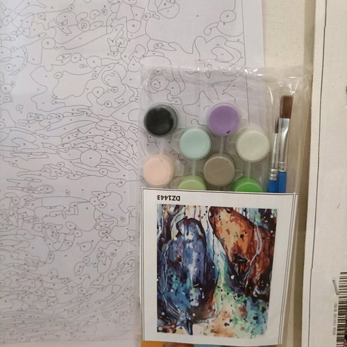 Painting kit new with numbered pieces on 40x50 canvas