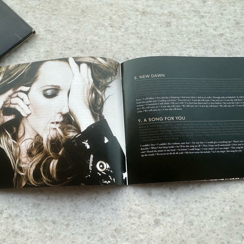 Celine Dion Taking Chances CD used, pop