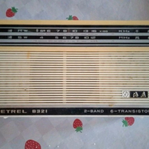 Petrel B321 radio used, 1960s, with leather case