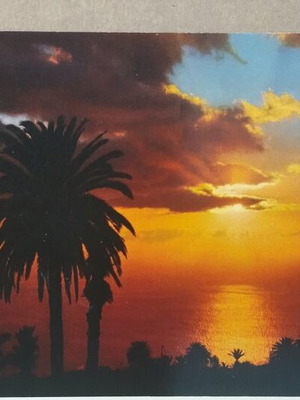 Καρτ ποστάλ Πάφος μεταχειρισμένη με ηλιοβασίλεμα και φοίνικες