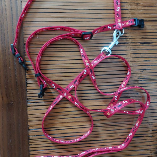 Cat harness like new with 1m leash red with patterns