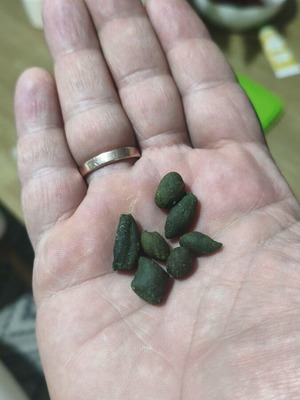 DIY Natural Bottom Food New for Fish, Snails and Shrimps