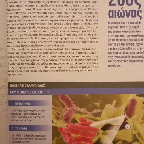 Food Allergies, Intolerances and Sensitivities new