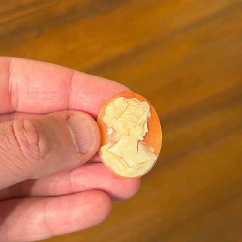 Cameo old genuine like new