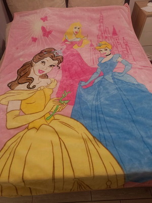 Single blanket 160x220 with princesses like new