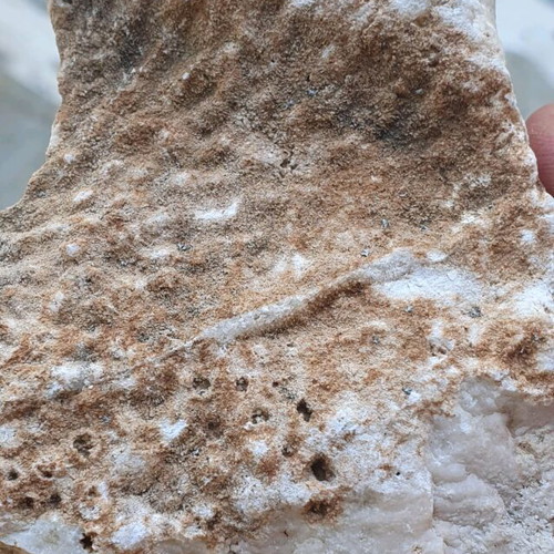 Fossilized coral like new, Greek collectible