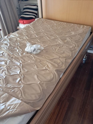 Libra Electric Hospital Bed like new with mattress and battery