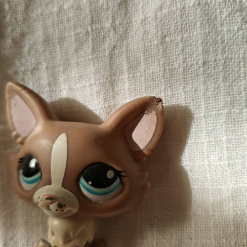 Littlest Pet Shop used with minor ear damage Hasbro 2010