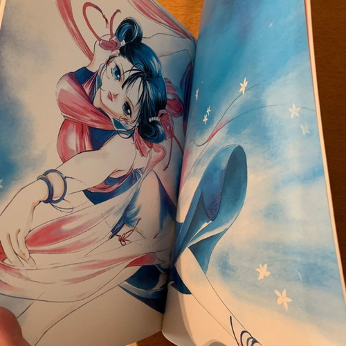 Vampire Princess Miyu Artbook new, collectible, excellent condition