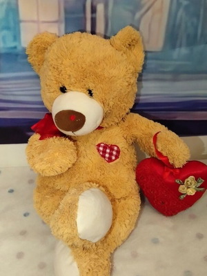 Λούτρινο παιχνίδι Nikki's Bear μεταχειρισμένο, Build-A-Bear 42 εκ. με κεντημένη καρδιά