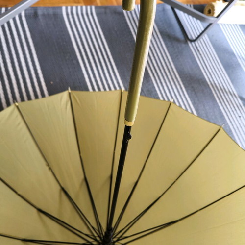 Windproof umbrella with 16 ribs, curved bone handle, automatic, green, new