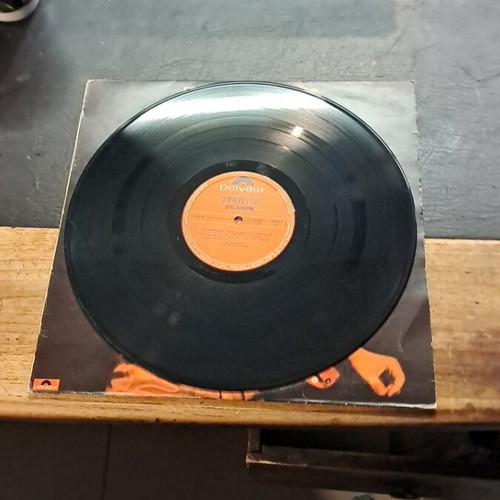 Eric Burdon Survivor record used