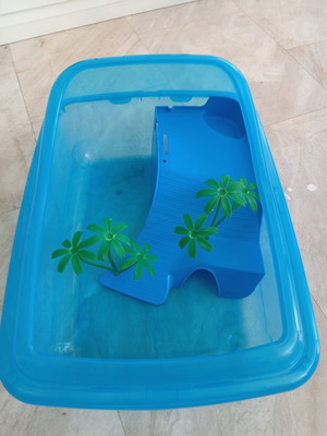 Turtle Aquarium used, size 50x35 cm