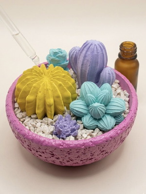 Aroma Stone Diffuser Cactus with 10ml fragrance, new