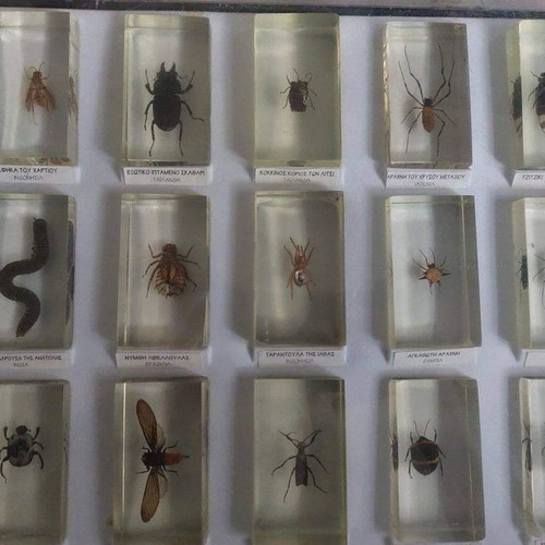 DeAgostini insect collection used