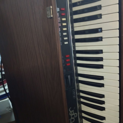 The New Tiger 49 Eko vintage harmonium