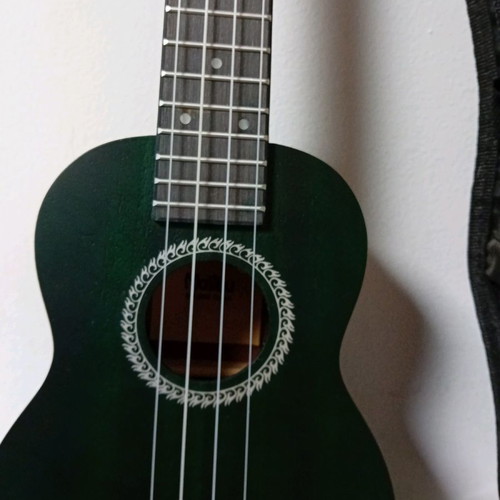 Classical and electroacoustic guitars with cases new