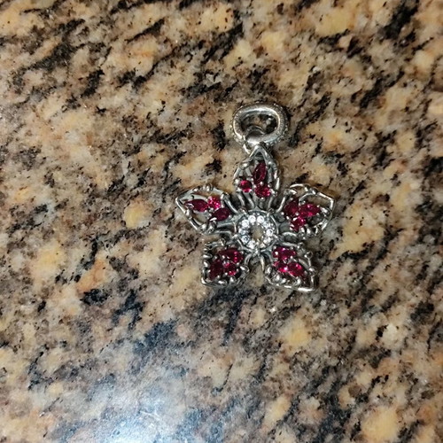 Pandora charm