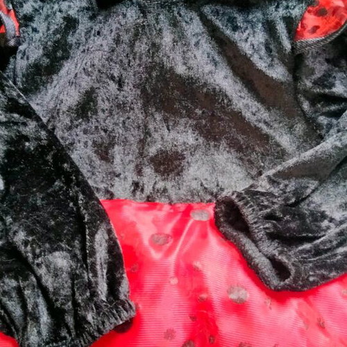 Baby costume Ladybug 12-18 months like new