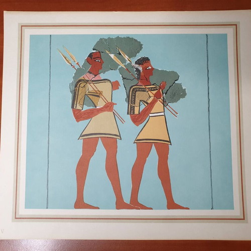 Mycenae album with 12 color plates used, lithographs