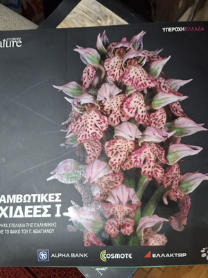 Stunning Orchids I book, Greek wildflowers