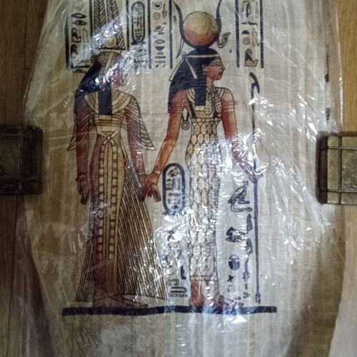 Egyptian papyrus new
