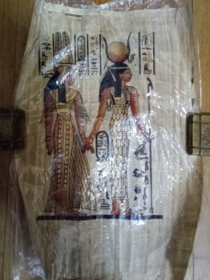 Egyptian papyrus new