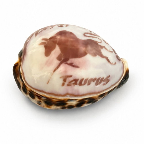 Decorative Taurus Shell with Zodiac Design like new