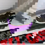  Nike SB Dunk Low Pro