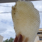 Natural Honeycomb New