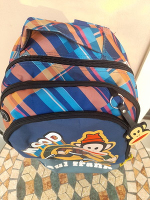 Paul Frank school backpack with multiple compartments