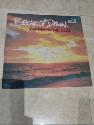 Vinyl record used