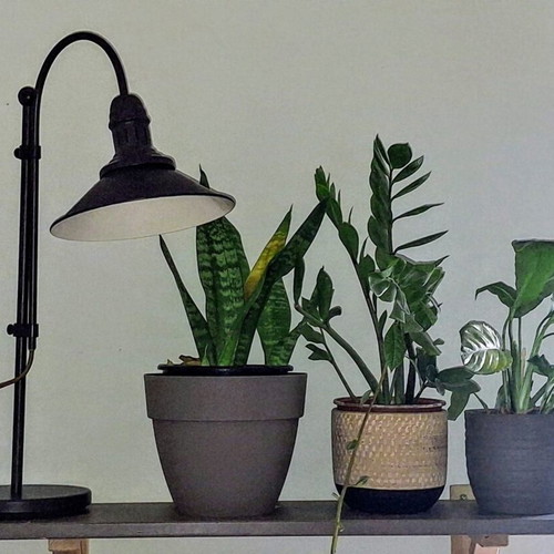 Eglo Stockbury Table Lamp vintage industrial style like new