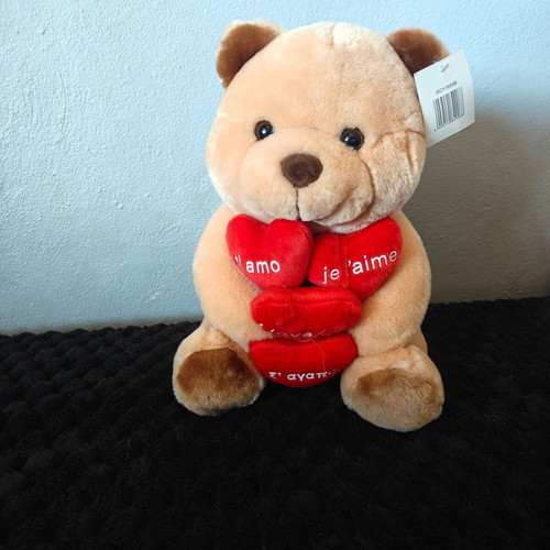 Teddy Bear new