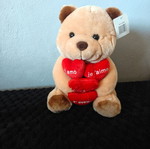 Teddy Bear new