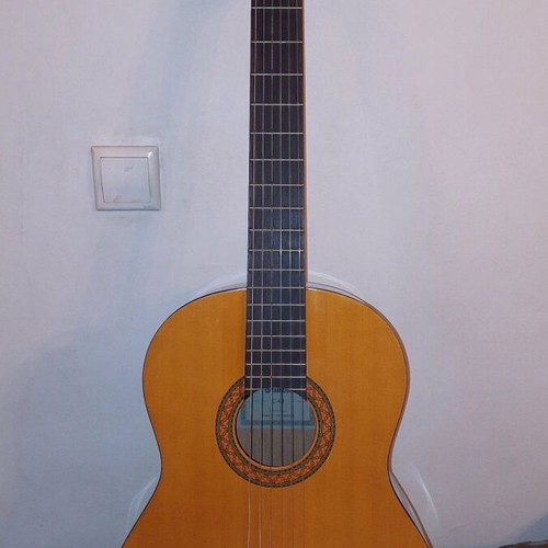 Yamaha C40 classical guitar with Ritter RCG400-C case like new