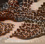  ΑΥΘΕΝΤΙΚΑ μποτάκια Just Cavalli animal print μόνο 95 ευρώ!!!