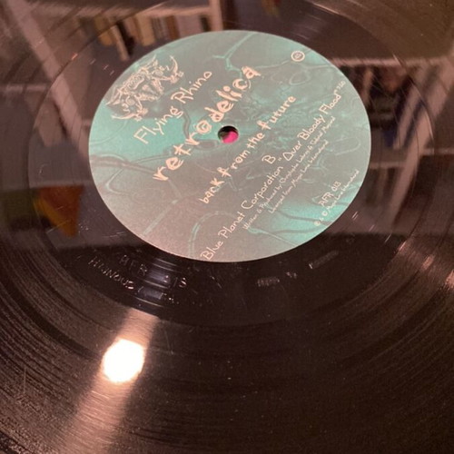Goa Trance Vinyl Records like new, electronic genre, set of two