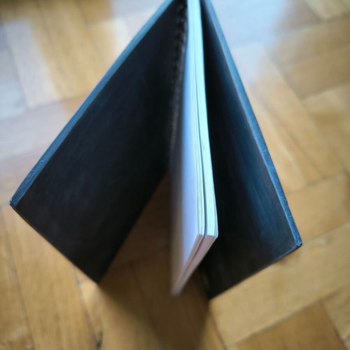Notebook with dragon new, hard resin cover
