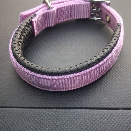 Collar with choker set for large puppy like new