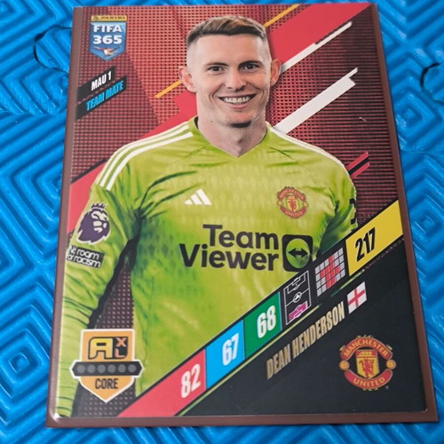 Panini FIFA 365 Team Mates Card Collection of 5 like new with sleeves