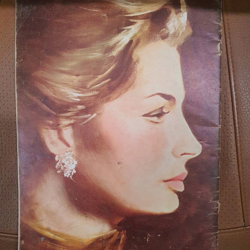 Faces and Features book used, English
