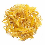 Calendula Flower Egypt New